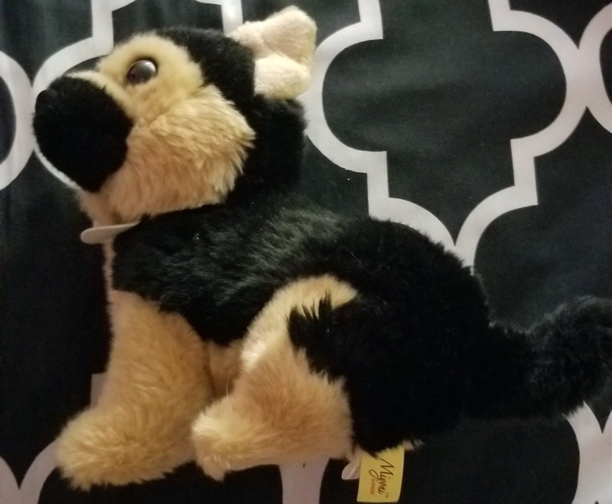 goodest boy 10/10 v cuddly. I love him