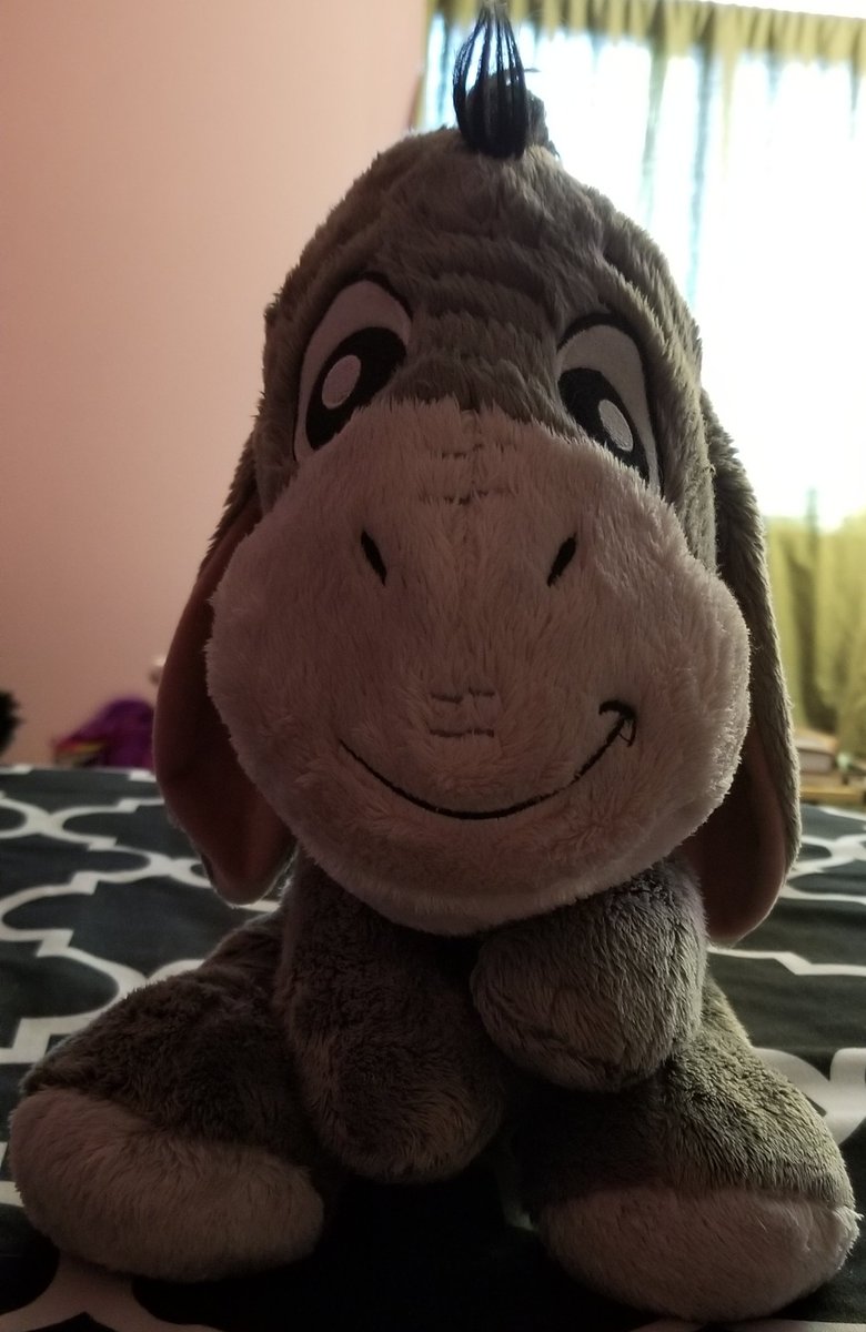 Eeyore (small) 10/10!!! Eeyore holds a very special place in my heart for many reasons and I'm extremely attached to this stuffed animal.