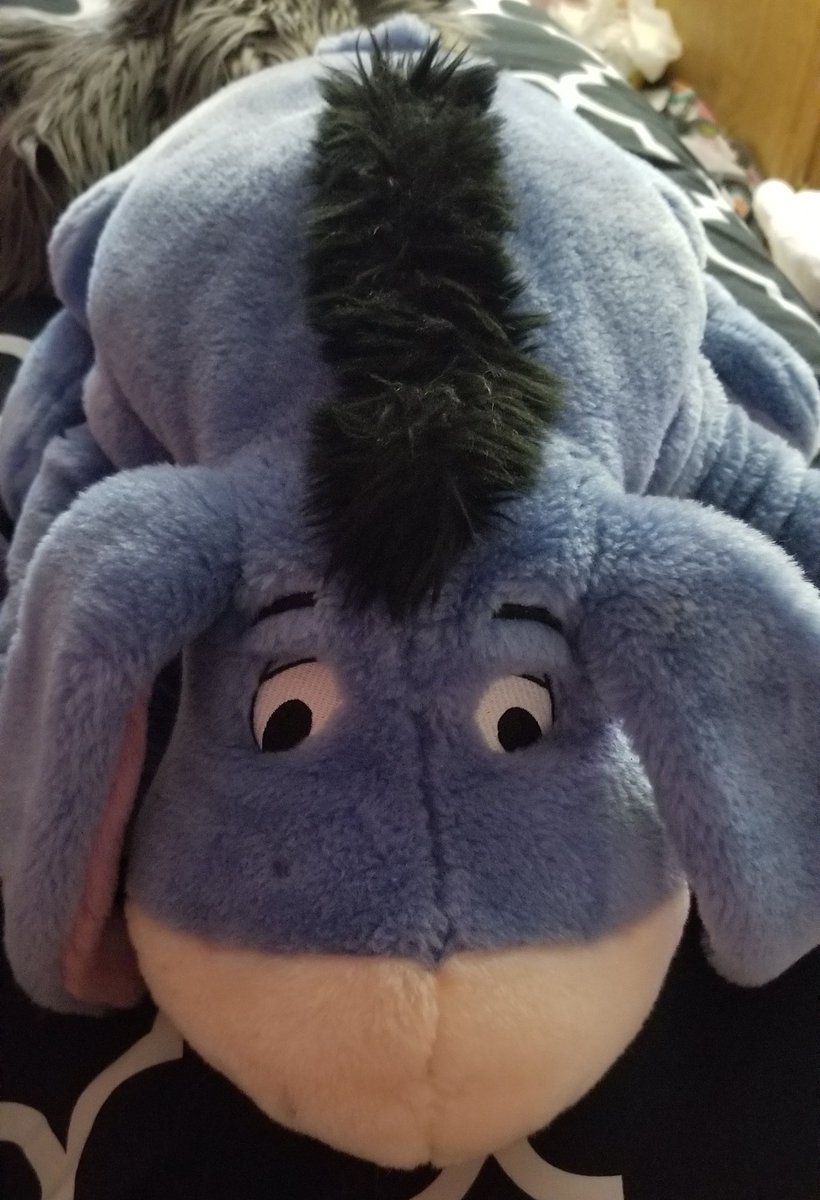 Eeyore (big) 1000/10 I've had him since I was little nd I love him sm
