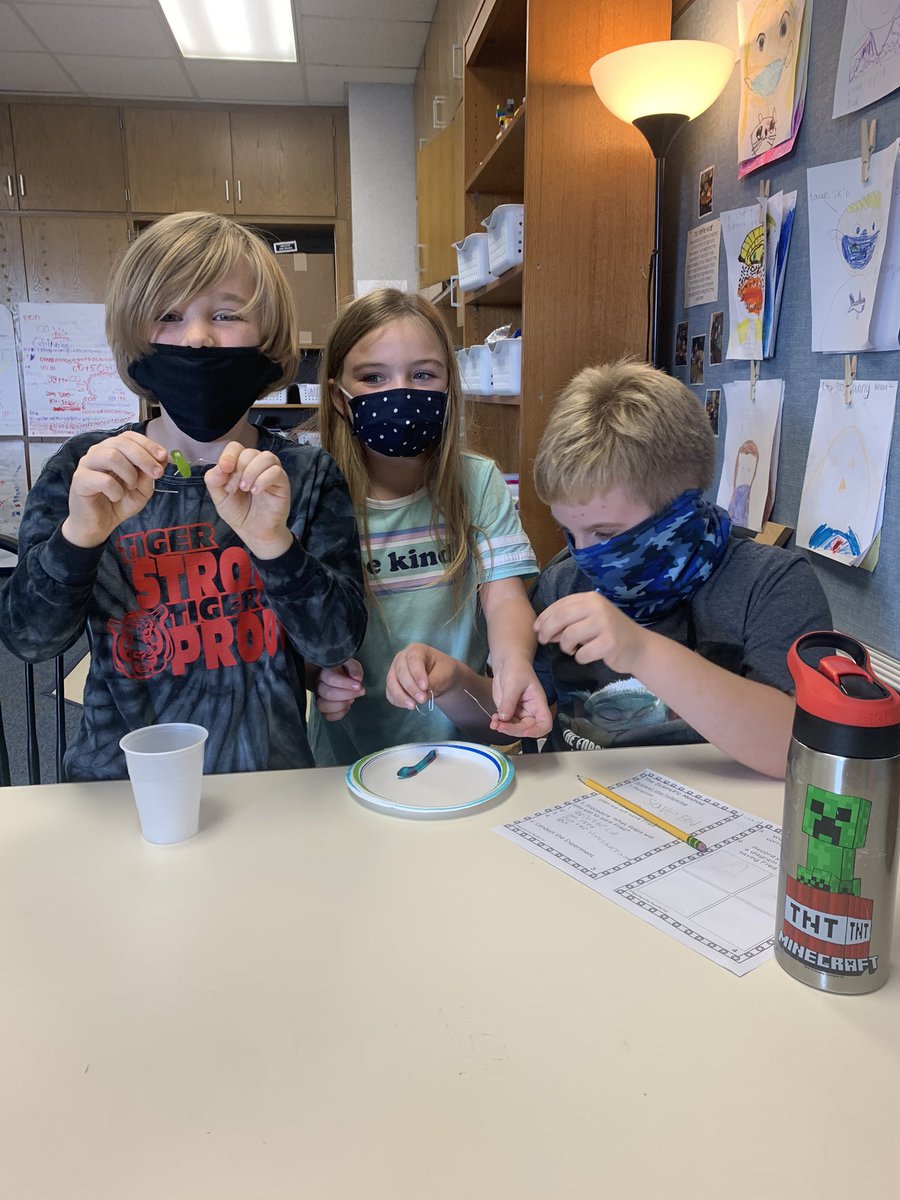 MrsRenner1's tweet photo. Save Fred STEM Project! #teamwork @FESTigersHSE https://t.co/3EmDBXrRPW