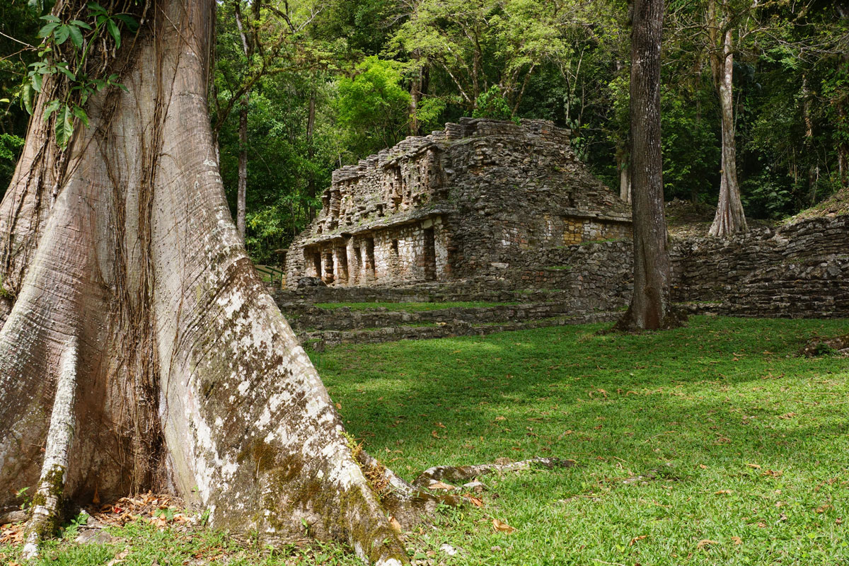 cultura_mx's tweet photo. #DescubreMéxico🇲🇽

La Zona Arqueológica de Yaxchilán, en #Chiapas, es un ejemplo del apogeo de las ciudades mayas durante el clásico tardío.

En ella se hallan 124 textos distribuidos en 30 estelas, 21 altares, 59 dinteles y siete inscripciones diversas.

¡Queremos #VolverAVerte! https://t.co/VDqY9XR03R