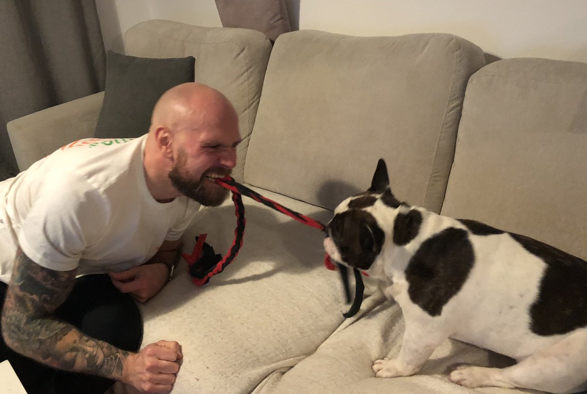 whoisaliblack's tweet photo. The bionic dug is 7 today! Happy birthday, pal ❤️ https://t.co/Ic8uhZT42N
