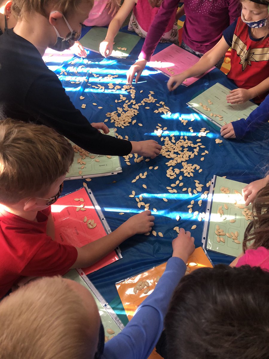 EMorthorst's tweet image. What a great day to count pumpkin seeds by 5s! Guess how many seeds were in our pumpkin   #teacherbytrine