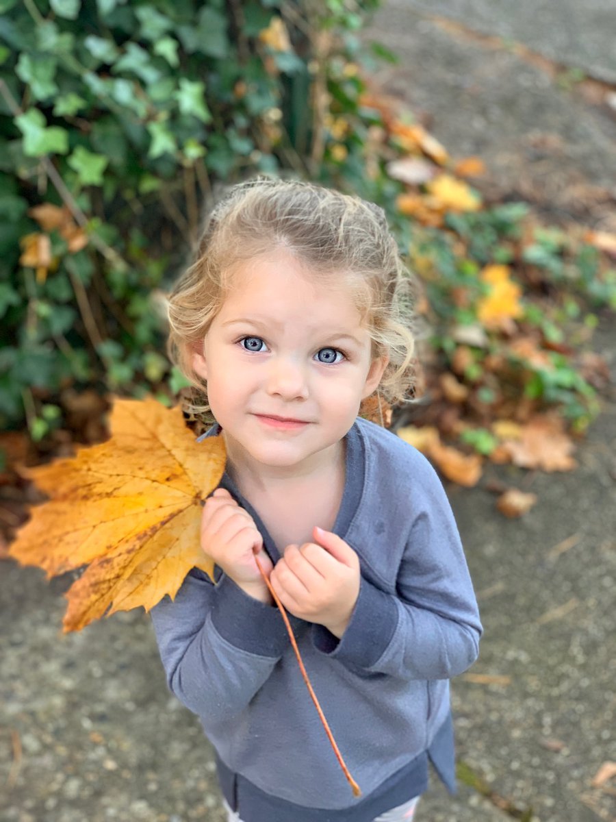MrsPatouhas's tweet photo. My little helper on this beautiful day! 🤩 🍁 https://t.co/vIKErBlcuv