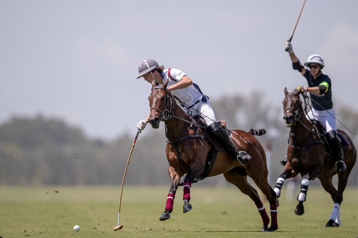 La Aguada Polo tweet media