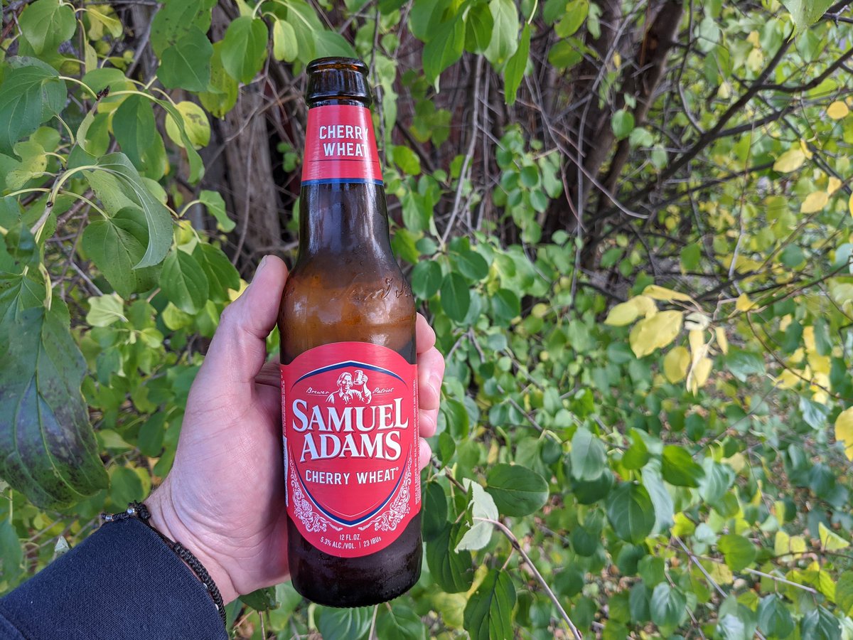 SipSipChug's tweet photo. Nice afternoon for a @SamuelAdamsBeer Cherry Wheat 🍻🍒 #Beer #CherryWheat #CraftBeer #BeerLover https://t.co/nmguheySIh