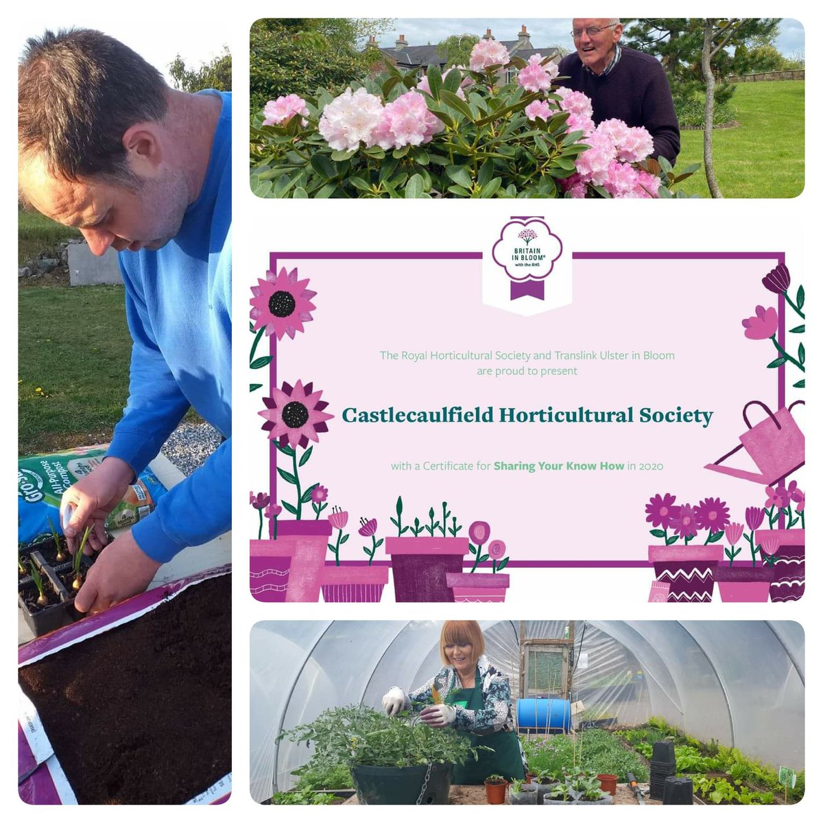 CHS_Show's tweet photo. With no bloom competitions this year, the @RHSBloom and @Translink_NI Ulster in Bloom have awarded certificates to recognise the valuable work that bloom groups have being doing during this difficult time.  CHS received 3 for the work carried out in 2020..https://t.co/pMEnxw2DZ5 https://t.co/Rt1Z0m29sh
