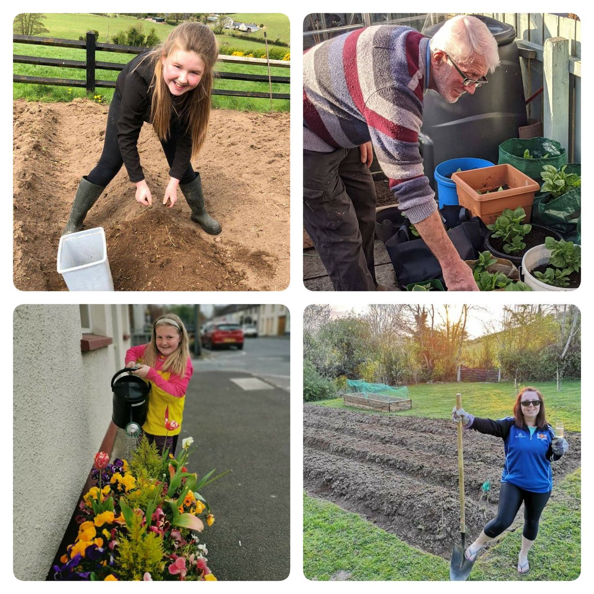 CHS_Show's tweet photo. With no bloom competitions this year, the @RHSBloom and @Translink_NI Ulster in Bloom have awarded certificates to recognise the valuable work that bloom groups have being doing during this difficult time.  CHS received 3 for the work carried out in 2020..https://t.co/pMEnxw2DZ5 https://t.co/Rt1Z0m29sh