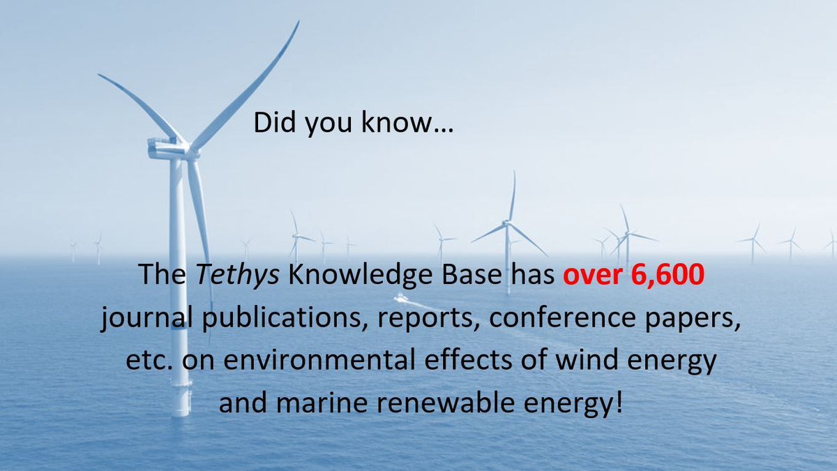 tethys_enviro's tweet photo. #windenergy #marinerenewableenergy #offshorewind #landbasedwind #tidalenergy #waveenergy #oceancurrentenergy #otec #riverineenergy #salinitygradient #RenewableEnergy #sustainableenergy https://t.co/OysH7GKOTL