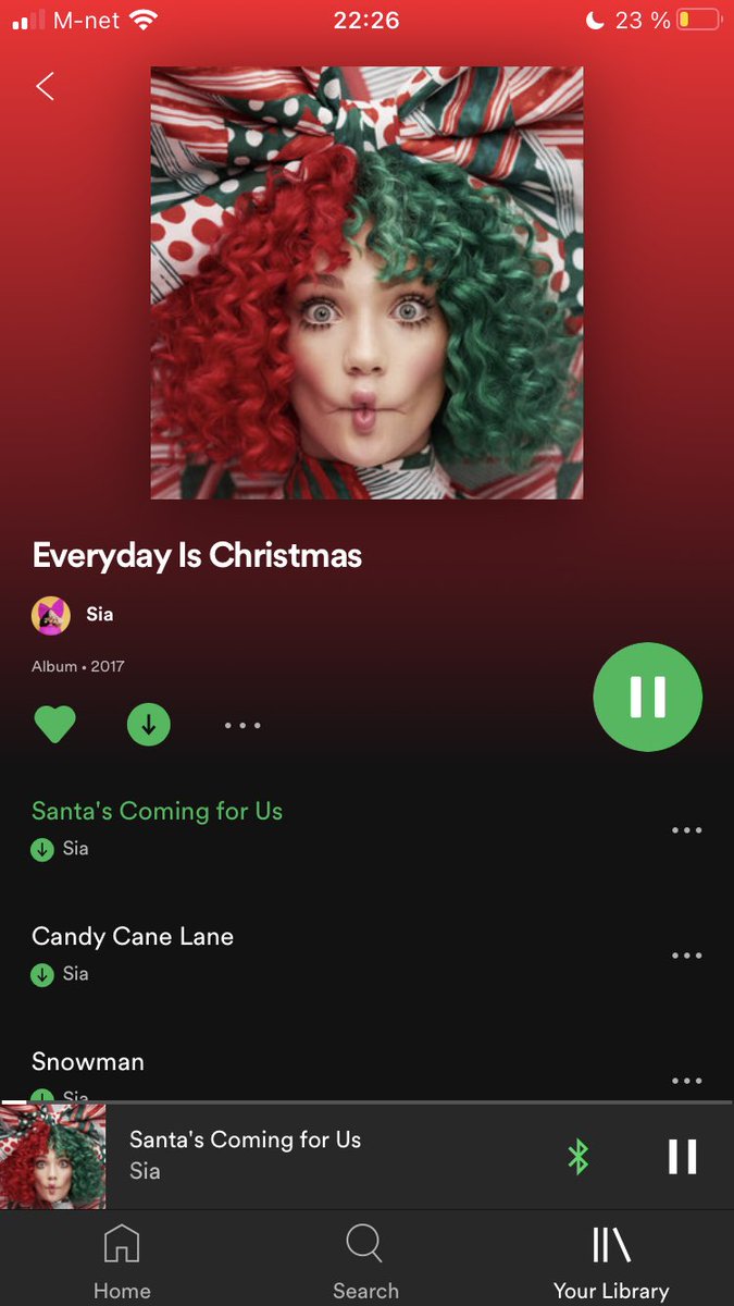 stardustmicky's tweet photo. It’s that time of the year again 🥰 @Sia https://t.co/PPCORR8wlw