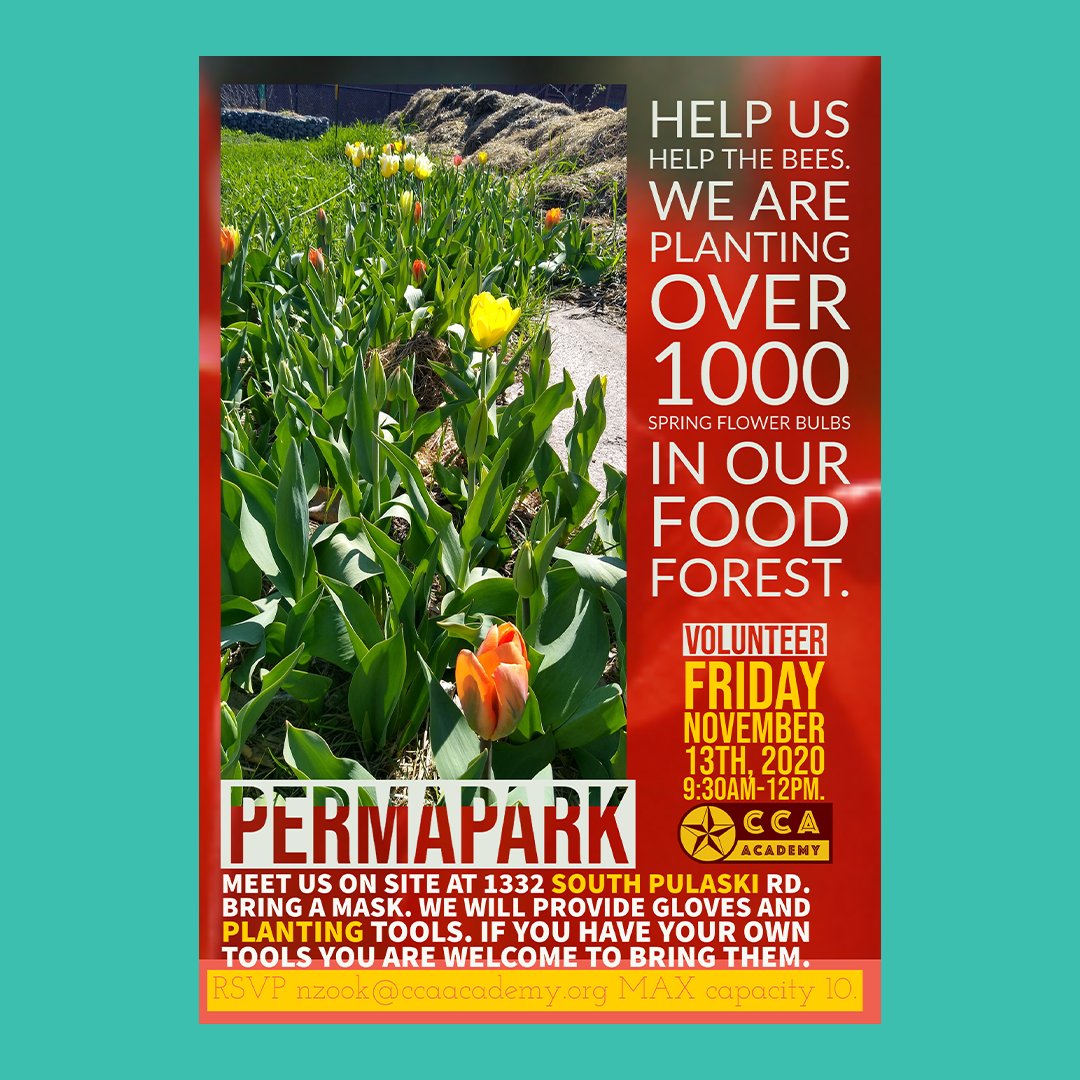 Next Friday! CCA Academy's PermaPark is hosting their annual fall bulb-planting event is happening on November 13th. Email nzook@ccaacademy.org to reserve your spot. Come dressed for the weather because they will be working rain or shine!