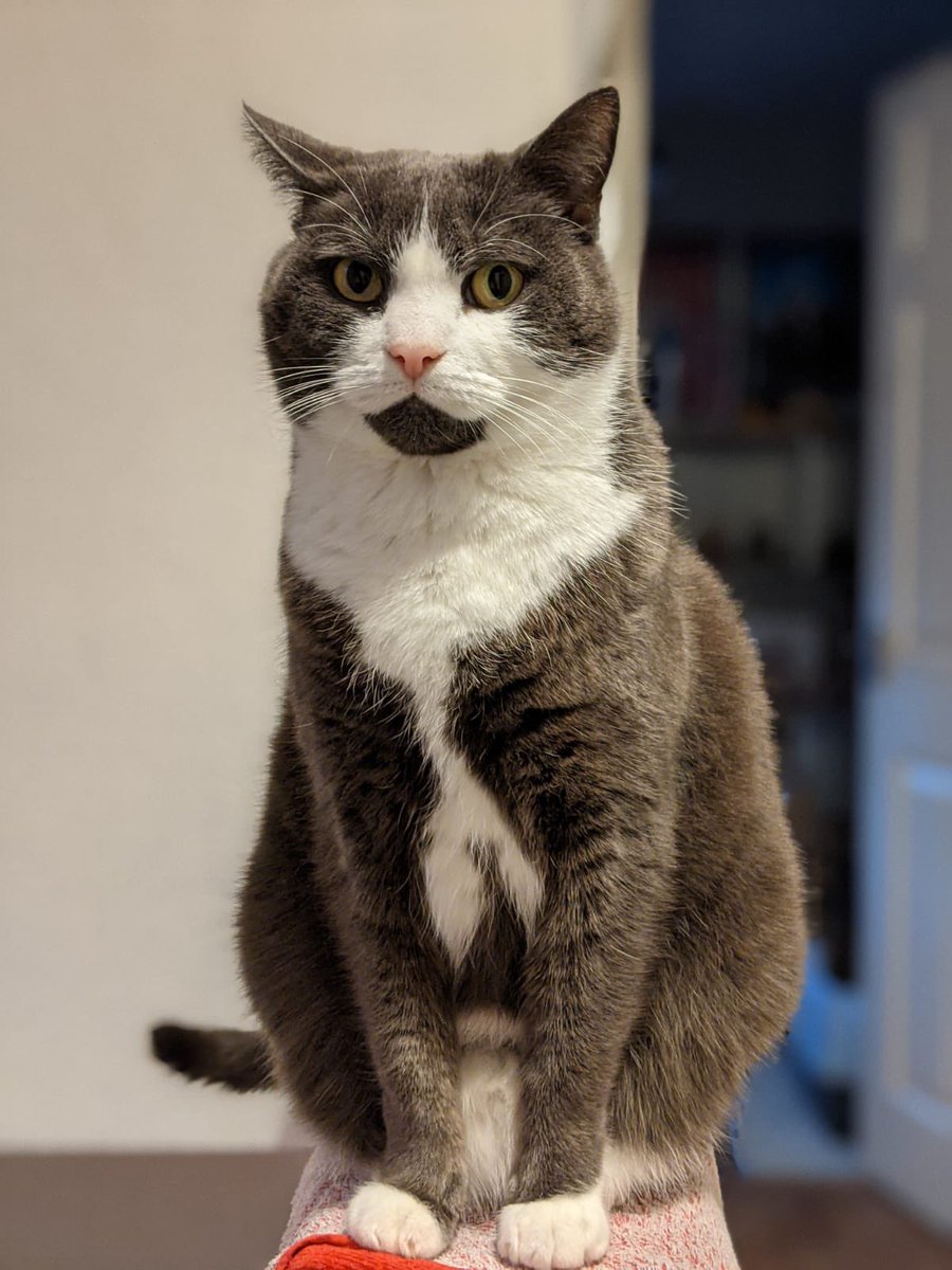 Just waiting for those sweet #Pennsylvania votes. #BidenHarris2020