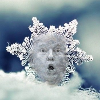 myselfpropelled's tweet photo. @CLClekha We're all enjoying the meltdown show of the final season of the Trump Crime Family.
Next year we get to watch The Trumps meet Law &amp; Order! Trump's perp walk will have the highest ratings he's ever had. https://t.co/NThIyuGK1m