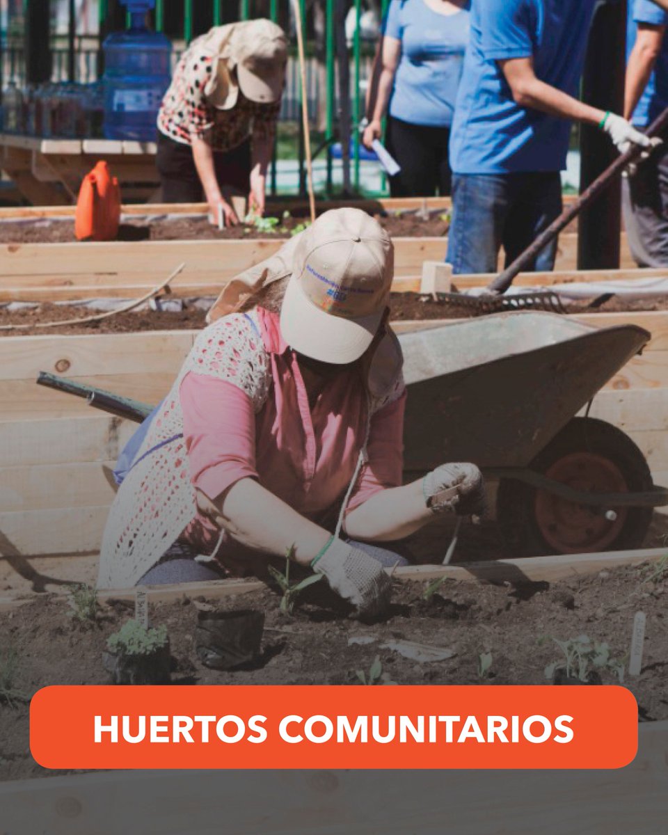 ChileComida's tweet photo. Comenzó la jornada de inscripciones para la Escuela Comida para Todos y queremos extender una invitación a l@s jóvenes de La Pintana, para que aprendan y se capaciten en: Clases de Cocina, Emprendimiento y clases de Huertos Comunitarios, todo en la Junta de Vecinos Villa Arauco. https://t.co/IwdpULO4ED