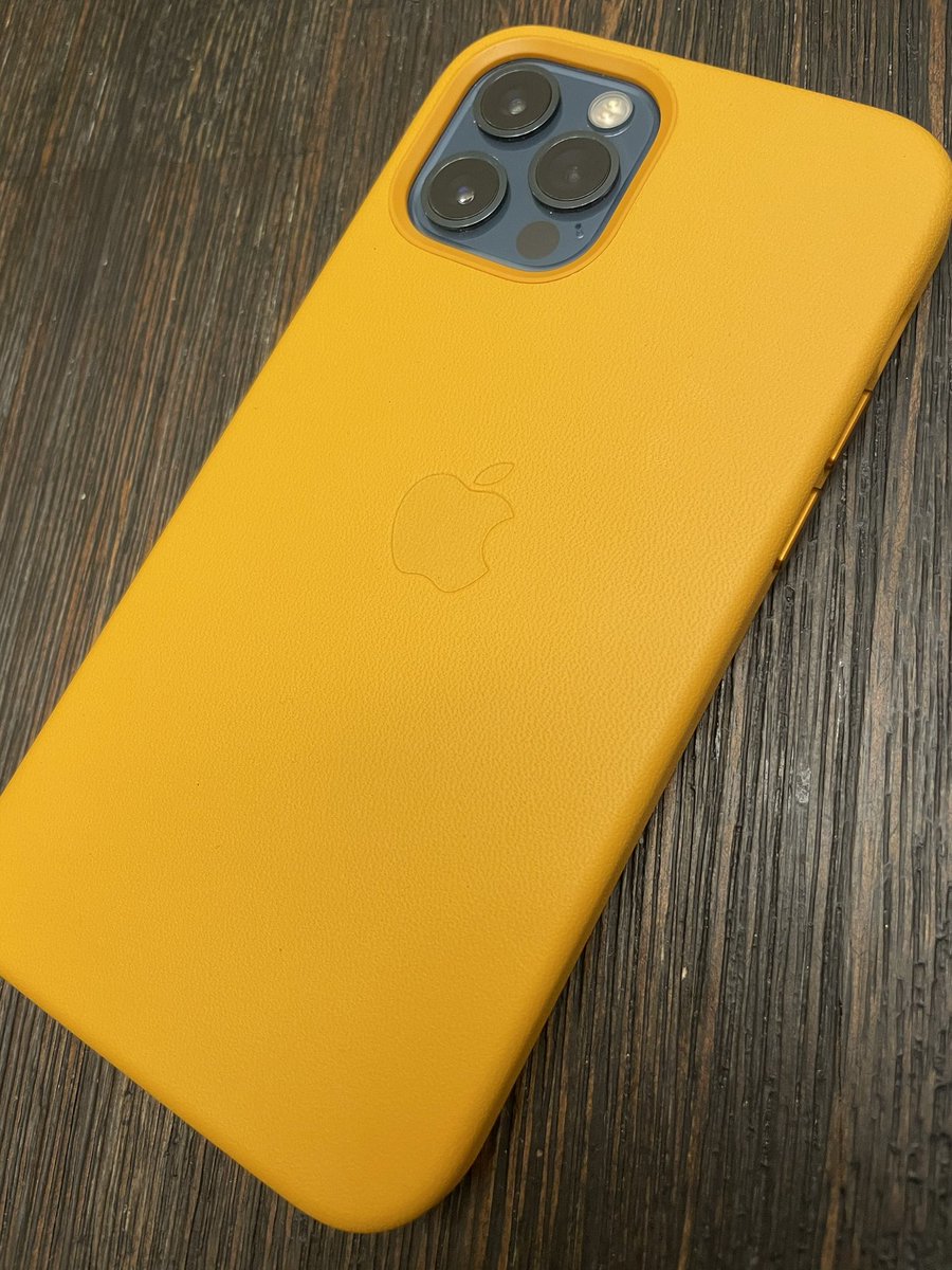 _Bethesdad's tweet photo. This California Poppy just hits different #Apple #AyePoppy https://t.co/54iVA3byGn