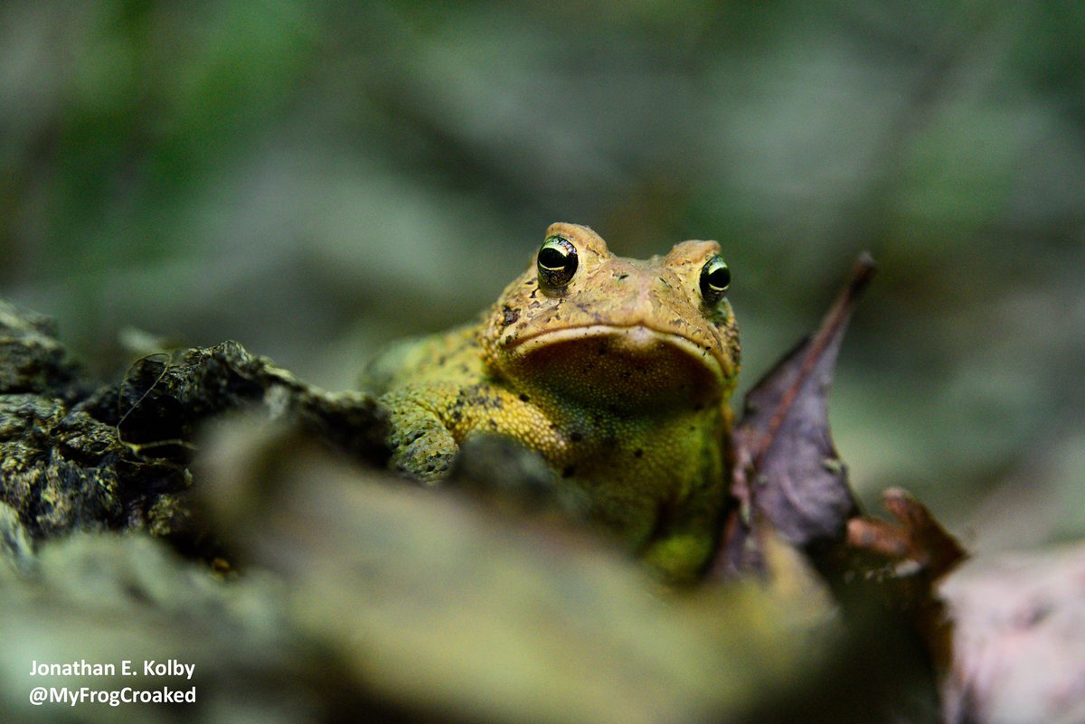 Dr. Jonathan Kolby tweet media