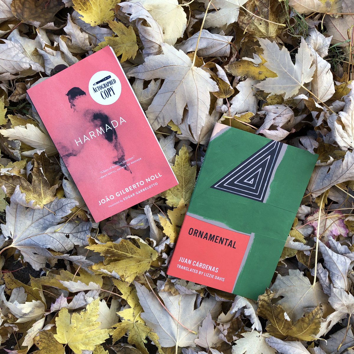 Next week - a virtual event celebrating João Gilberto Noll’s “Harmada,” a mythic tale of art and displacement nimbly translated from Portuguese by Edgar Garbelotto. Edgar will be in conversation with Juan Cárdenas, author of “Ornamental”! Link in bio!