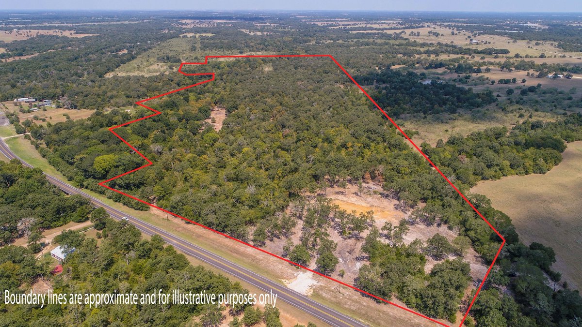 APropertiesTX's tweet photo. This +/-38 #acre tract is located just minutes from Birch Creek State Park at #LakeSomerville and less than 30 miles to #CollegeStation! 
☎️ 979.777.4471
📧 Jessica@ArmstrongPropertiesTX.com
🔗 https://t.co/YGO003UFU8
#texas #landforsale #cattle #buyland #rural https://t.co/c3qlJjc2Ld