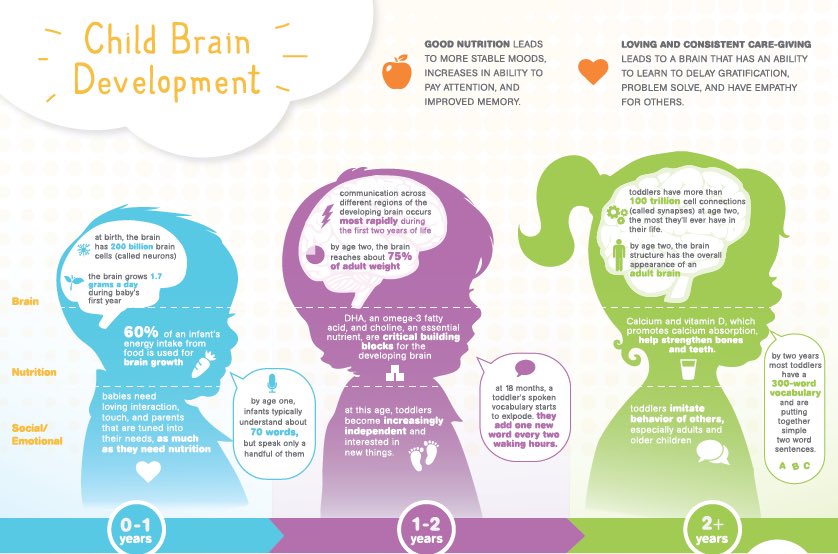 FCS_MrsDuBois's tweet image. Why does Early Childhood matter? 90% of critical brain development happens in the first F I V E years. Brain development is directly influenced by both the positive and negative experiences in the child’s environment. All about the brain in ECE today! 🧠