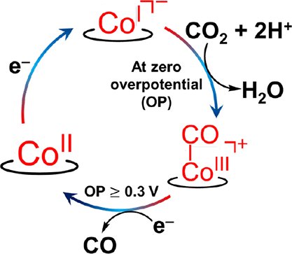 Low Overpotential CO2 Activation by a Graphite-Adsorbed Cobalt Porphyrin @WarrenLabSFU <a href="/SinhaSoumalya/">Soumalya Sinha</a> ow.ly/FTj950CaozG