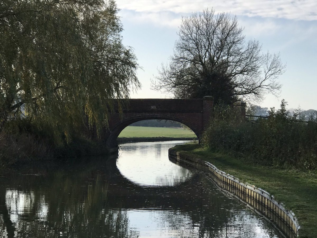 FrogOdyssey's tweet photo. Morning walk in early sunshine along #Grandunion.  Mackerel sky forming but stayed dry all day.  #novembersun. #activelockdown https://t.co/ceOj5nq3oX