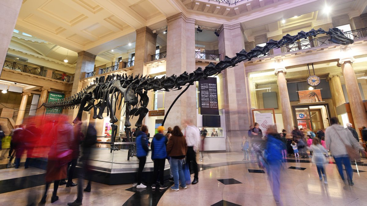 Museum_Cardiff's tweet photo. Wnaethoch chi fwynhau ymweliad Dippy ag Amgueddfa Genedlaethol Caerdydd?
Cymerwch 5 munud i lenwi'r arolwg hwn i'n helpu ni a @NHM_London deall effeithiau #DippyArDaith, a cyfle i ennill gwobr!
https://t.co/rvlYWSDP9N https://t.co/YH9yFEikav