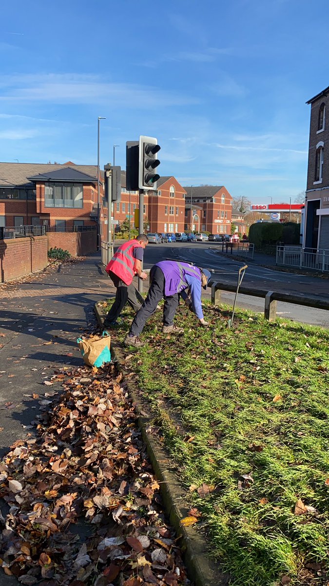 🏳️‍🌈AltrinchamInBloom 🐝 tweet media