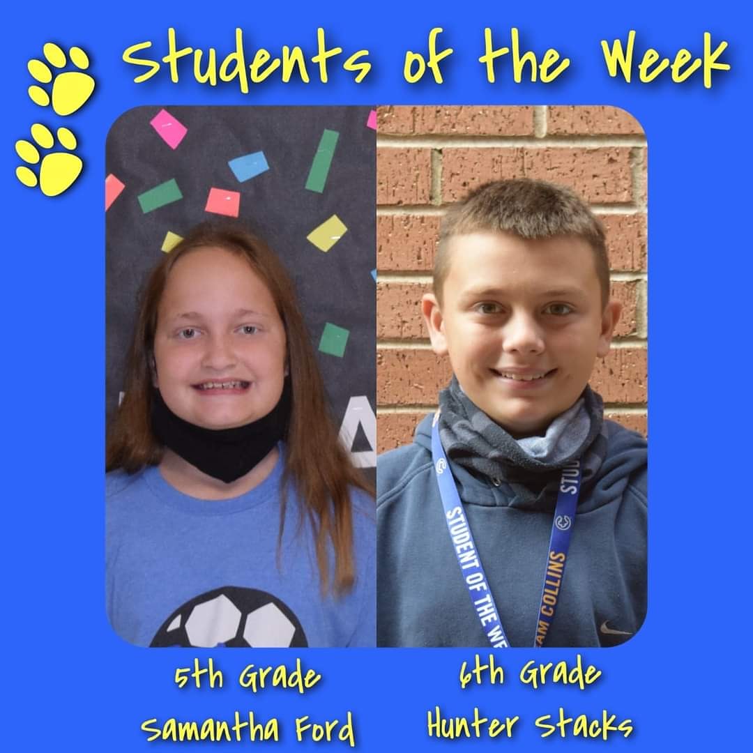 Collins Intermediate tweet media