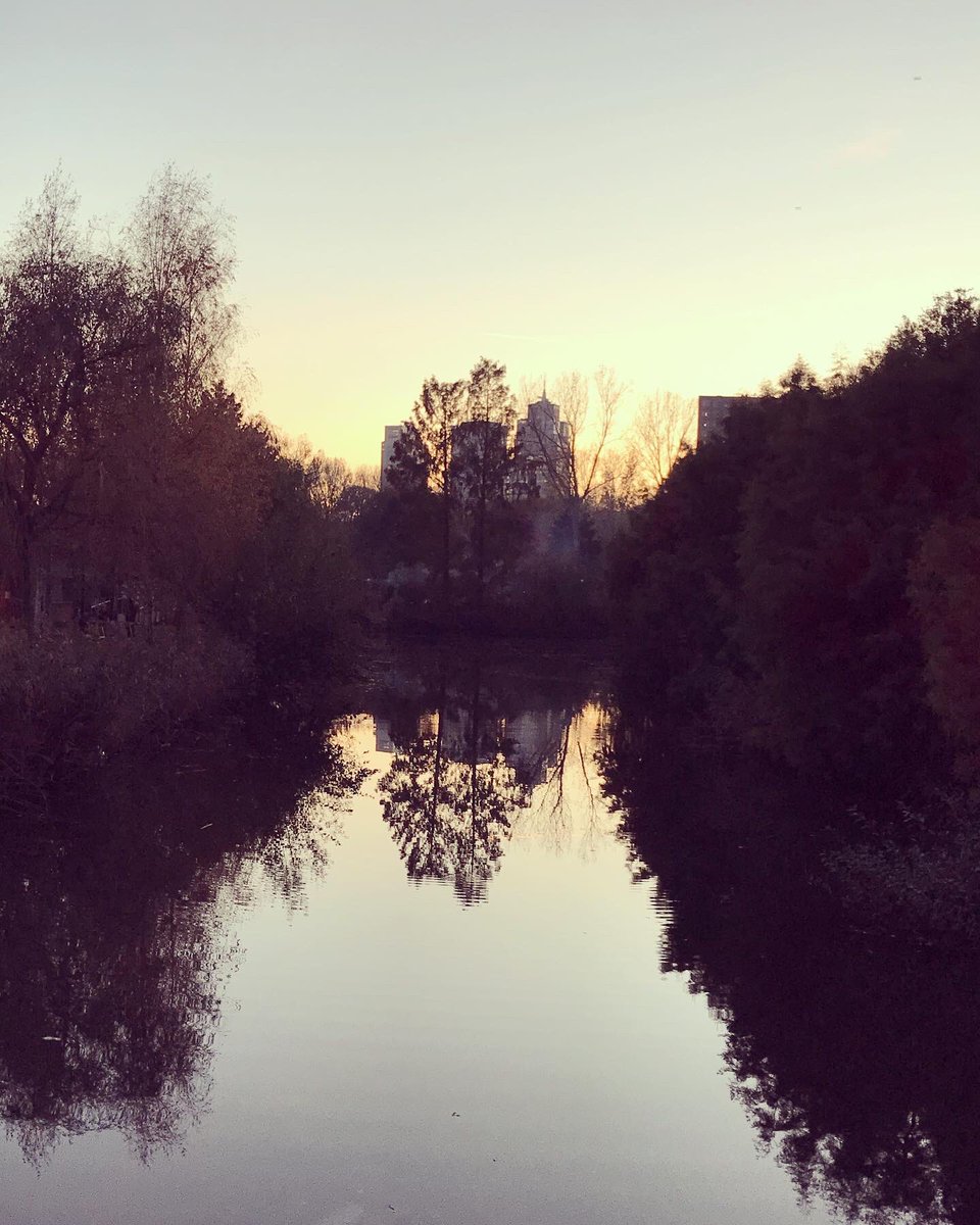 marielle_paul's tweet photo. Quirky and beautiful things during my #dailywalk. A great start to the weekend! #workhardwalkharder #autumnvibes #quirky #frisseneus #kickoutcorona #nature #ilovemycity #amsterdam https://t.co/Pf52twIIk3