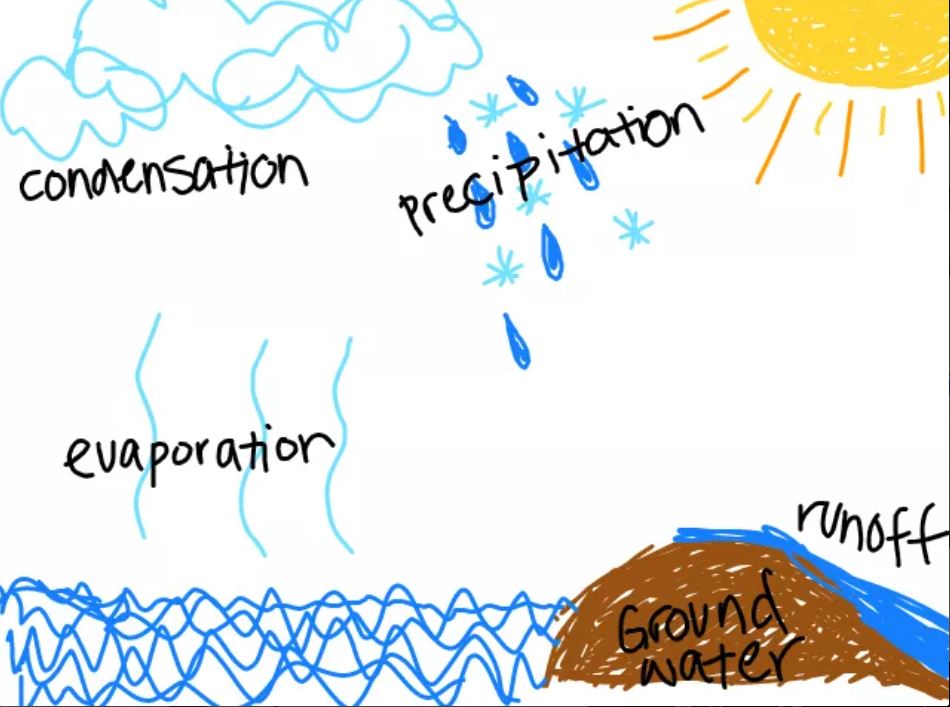 SCaldwell_CBSD's tweet photo. Here are some more Water Cycle pictures😀 https://t.co/nSBprBNGUY
