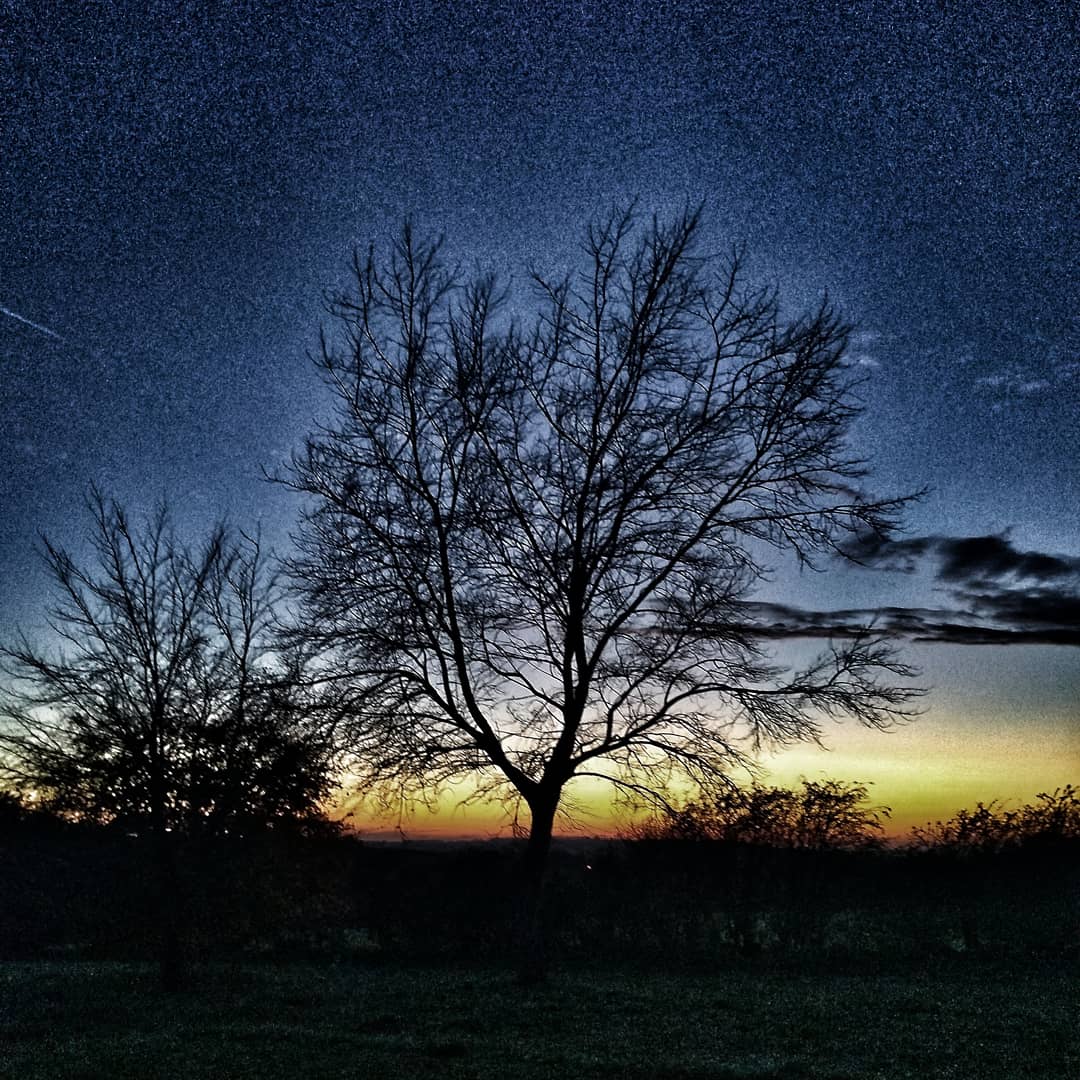JoOLeary's tweet photo. After work walk to end the week. #WorkingFromHome #WorkLifeBalance #WalkingFromHome #10000Stepsaday #LastOfTheLight https://t.co/chGyEcSXoc