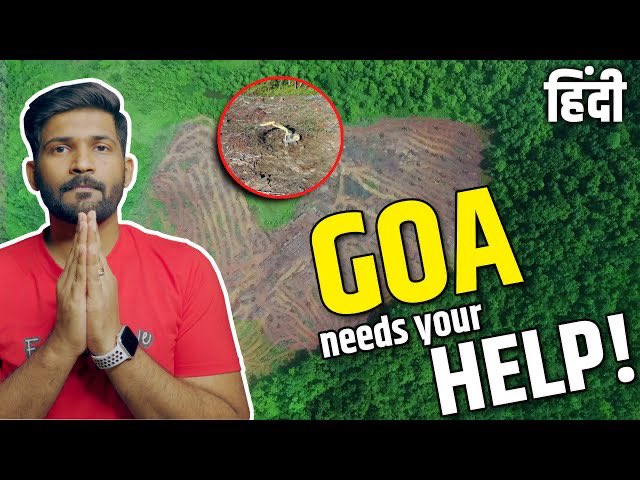 abhiandniyu's tweet photo. #goa is not just booze and beaches! The biggest treasure Goa has to offer is its nature. If we can shoot vlogs and take pictures for Instagram likes then It is about time we show our support to save what matters! #Mollem #SaveMollem 

https://t.co/ddIVMXvjEa https://t.co/xdozH2SJ5e