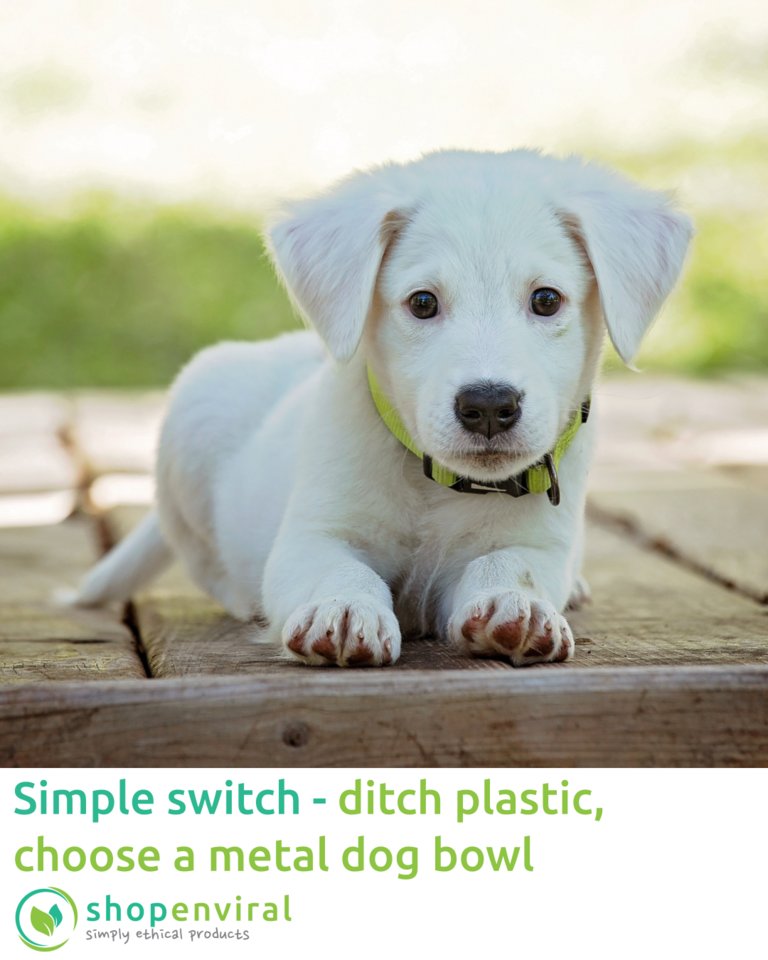 shopenviral's tweet photo. #Simpleswitch - A metal bowl is better for your pet and the environment. It won't get chewed up, lasts longer, easier to clean, and at the end of its life, a metal bowl is properly recyclable. 

#pets #dogs #ecofriendlyproducts #ecofriendly https://t.co/Z0deACHoKF
