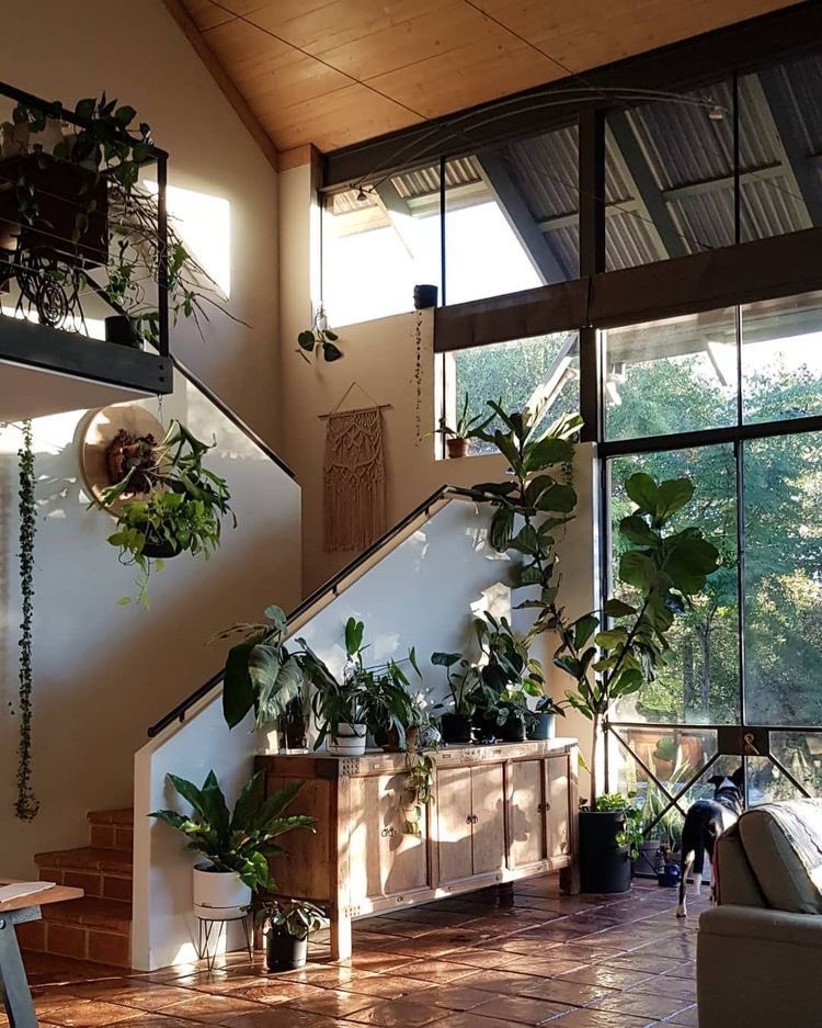 zodiacashomes's tweet photo. Virgo,Aquarius,Pisces,Sagittarius,Leo and Libra dream home https://t.co/0LQbtvlC4l