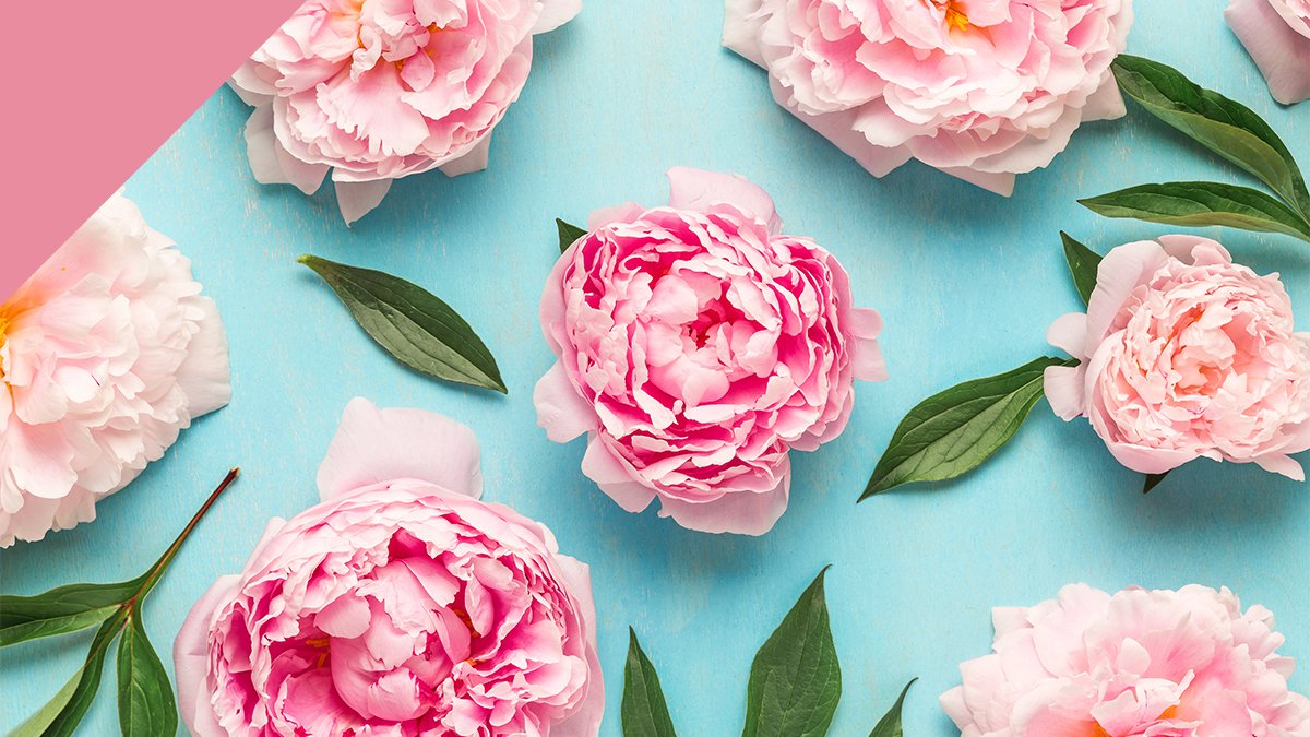 “Let the beauty of love bloom like a flower, and then welcome everyone you meet with that flower.”
          Debasish Mridha

#Bloommy #beauty #selflove #skincare #haircare #skincareroutine