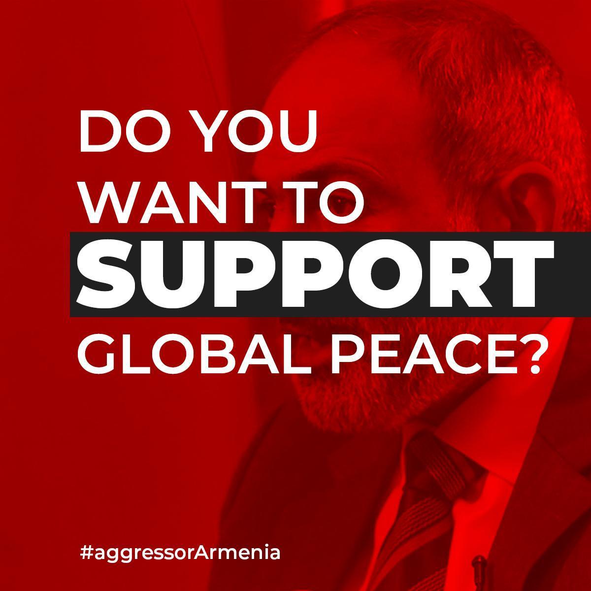 #aggressorArmenia
#azmiuyouth