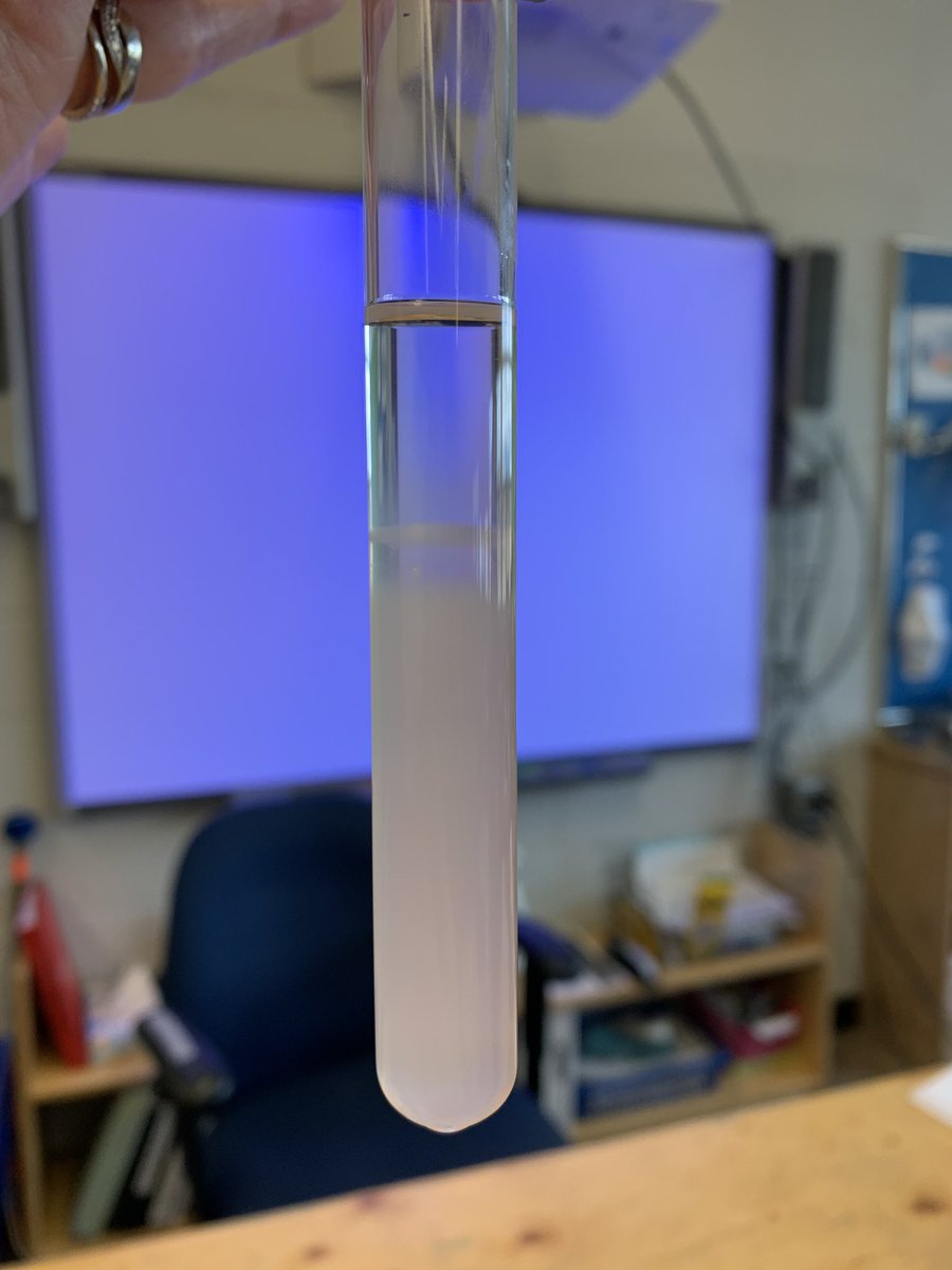 MrsHaley828's tweet photo. 🧅🧬😍 #grade9science https://t.co/d9otTgbSV9