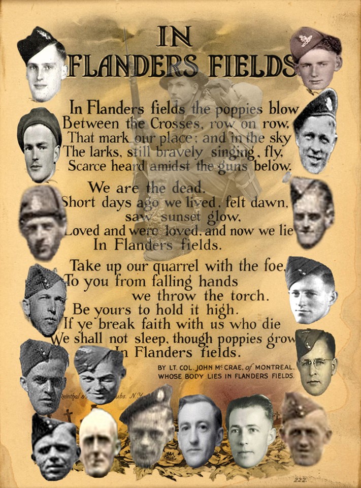 lesley100's tweet image. wear your poppy