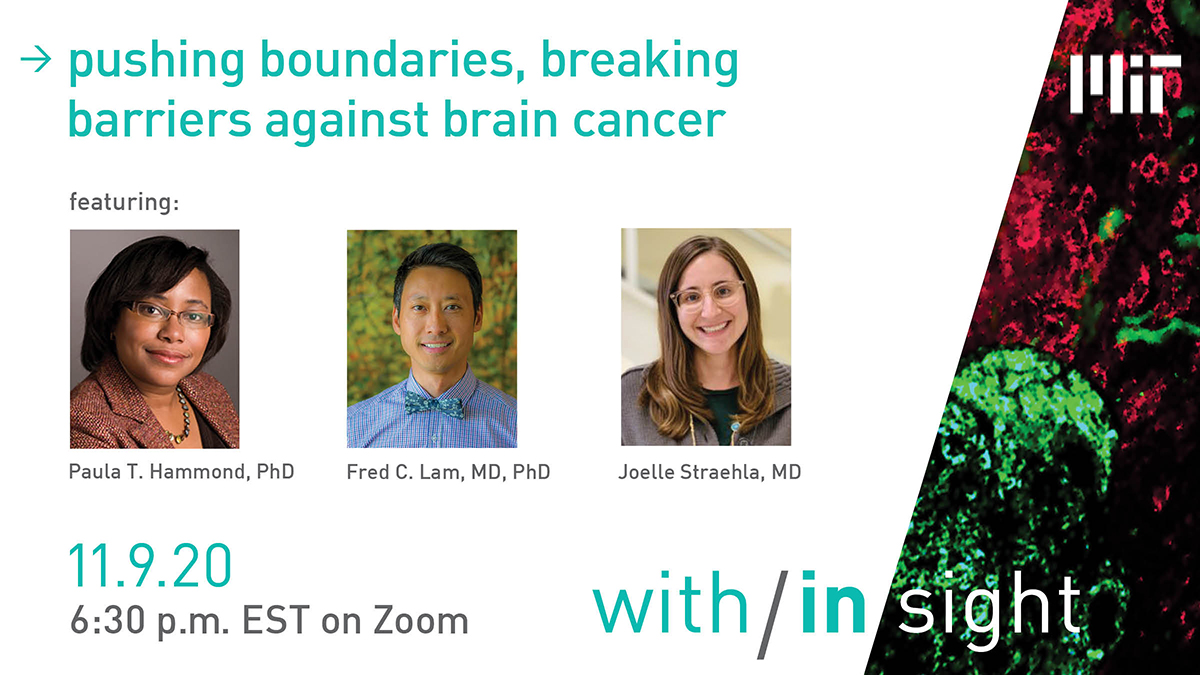 kochinstitute's tweet photo. Join us this Monday,  11/9 at 6:30 EST to learn how KI researchers are using nanoparticles to cross the blood-brain barrier to treat glioblastoma.

Register: https://t.co/SKxh8q2JgM https://t.co/CXSimBs4rD