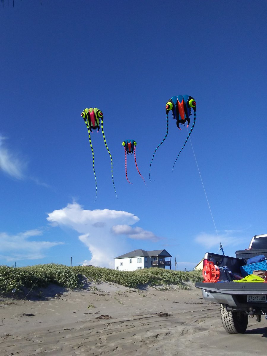 SurfsideTx's tweet photo. We can't wait to see what Sandcastle Ken and kite-flying Billy have in store for us tomorrow on Surfside Beach!
Stahlman Park
2211 Bluewater Hwy
11-4pm
#kiteflying #sandcastlebuilding #surfsidebeachtx https://t.co/bzij0tEgnm