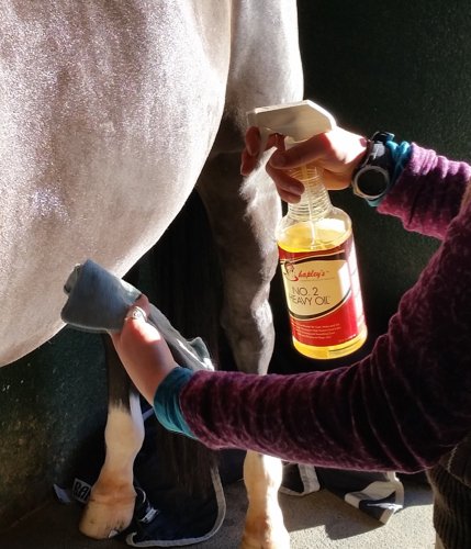 Shapleys's tweet photo. Clipping doesn't have be be slow and hard - these tips make clipping your horse fast and fun: https://t.co/Q8biD5gc7V https://t.co/3iAOKnRYzK