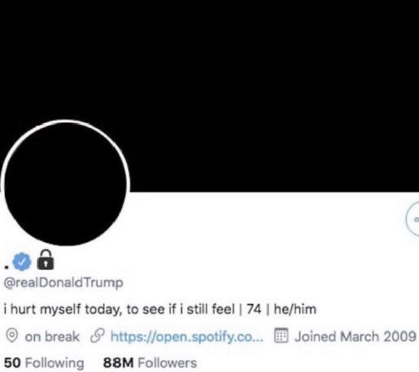 woundedworIds's tweet image. today i am grateful for these