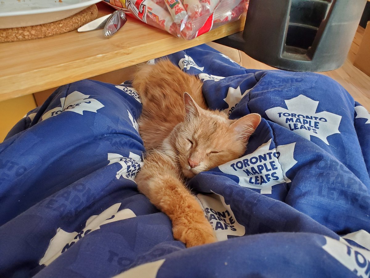 Even kings need sleep.