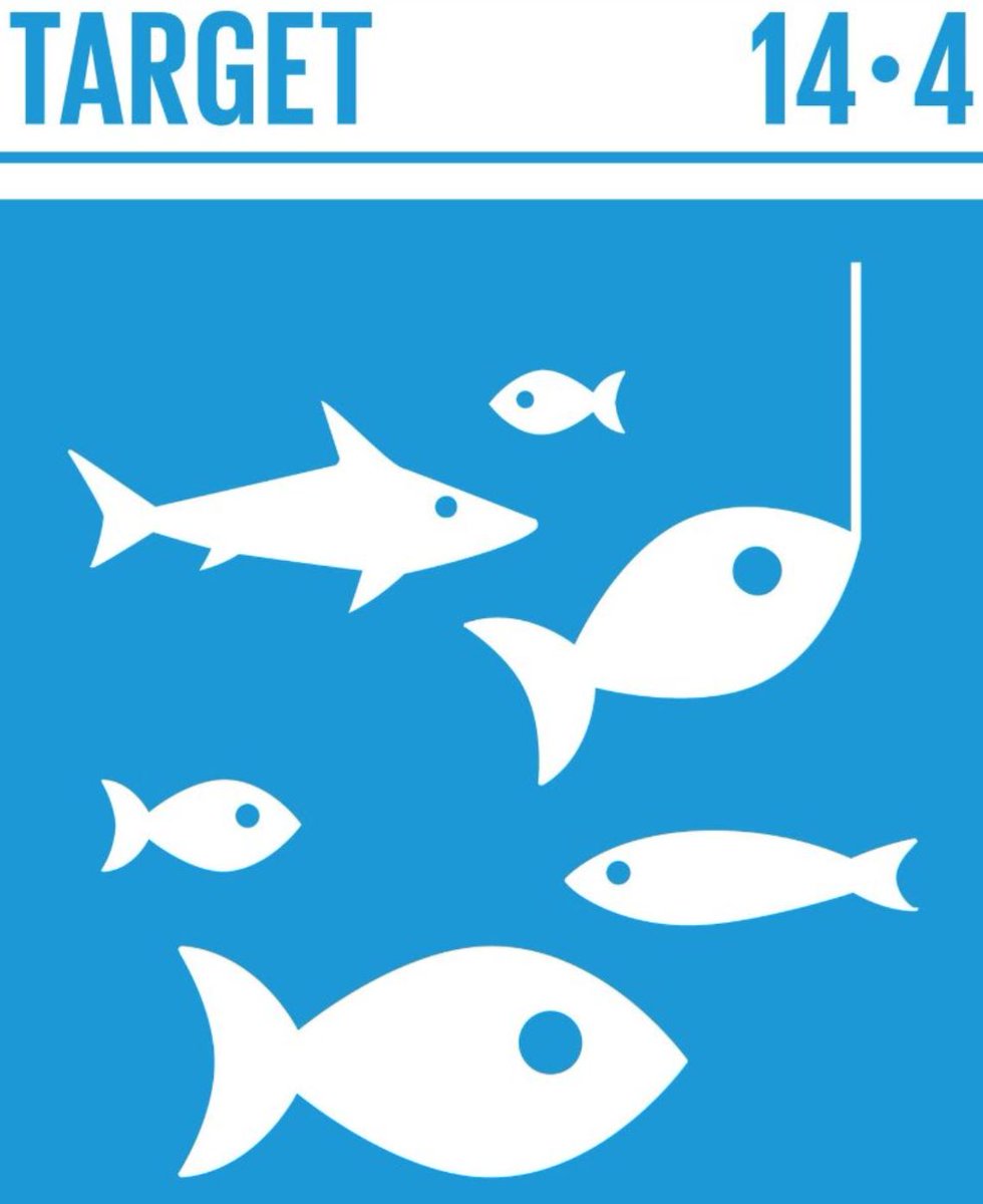 OceanActionHub's tweet photo. Illegal, unregulated & unreported #fishing undermine local economies, #foodsecurity and ecosystems. #SDG14.4 calls for an end to #overfishing & #IUU fishing #by2020.
Explore our sustainable #fisheries resources: https://t.co/x592bKaHoE
#SaveOurOcean #BlueEconomyKE #BlueEconomy https://t.co/0U10SNvUNr