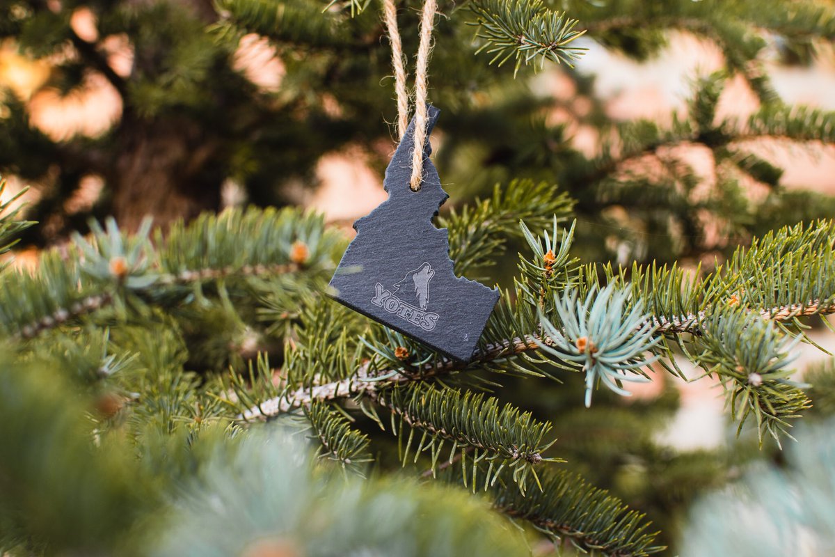 yotestore's tweet photo. It’s never too early to start thinking about Christmas.🎄 #goyotes https://t.co/dkgcCcjO8d