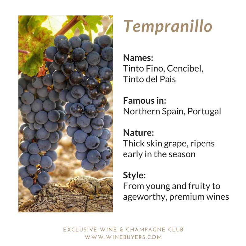 Read our #GrapeVariety fact sheet for #TempranilloDay 👇