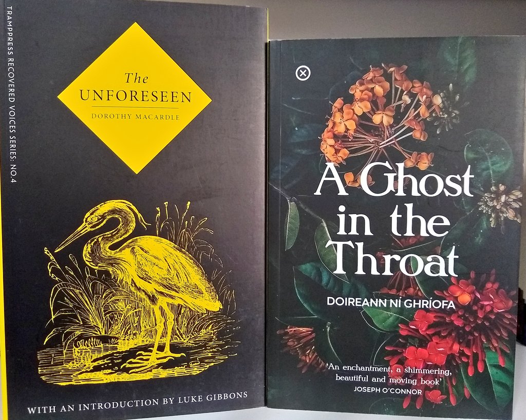 Crucial rescues and revelatory new works make  @TrampPress essential (and co-founder  @SarahDavisGoff has been known to produce the odd work of brilliance herself—check out Last Ones Left Alive)