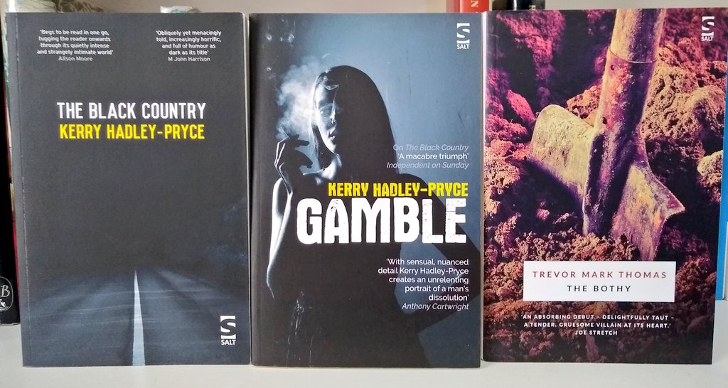 Beautiful psychological, crime, and contemporary fiction, full length and short stories, from the always reliable  @saltpublishing