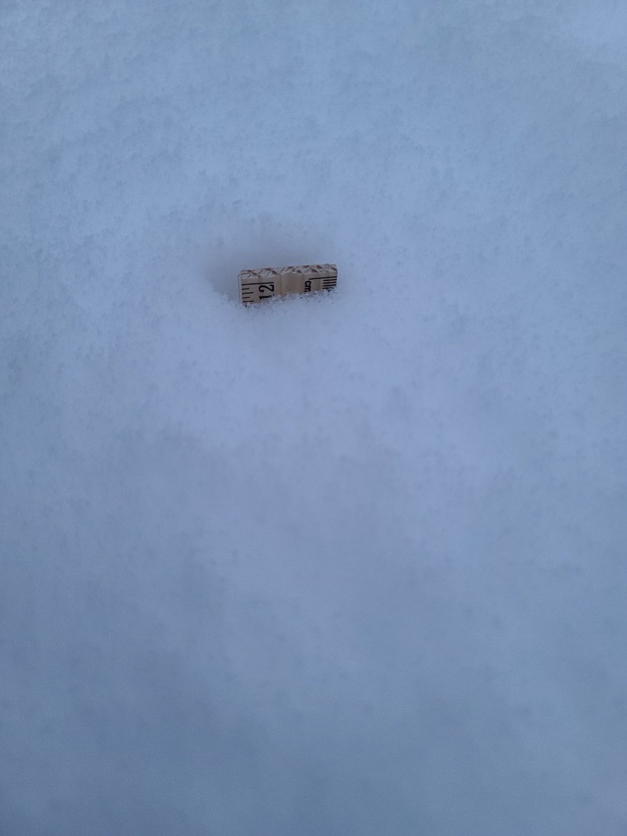 TBone1082's tweet photo. @NWSFairbanks  12" on the ground as of 8:45am on top of the East Side of Chena Ridge @ Yak Rd. https://t.co/hcFqROyqNs