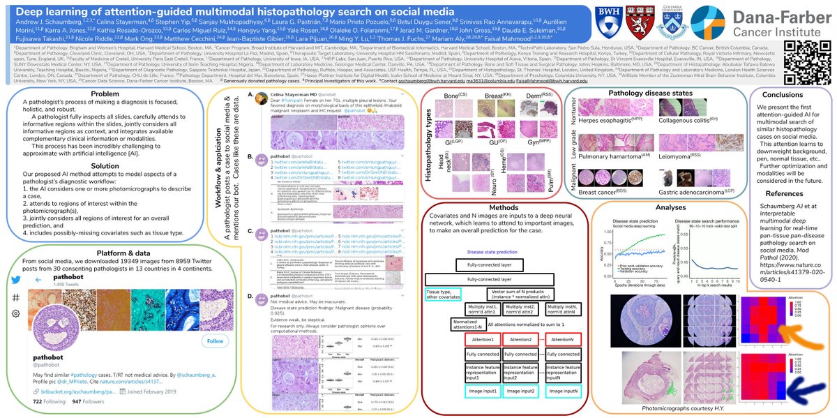 schaumberg_a's tweet photo. Thanks @dpatweet for a Best Poster award at #PathVisions20!πhttps://t.co/z3OfuuVi5V
In poster lower right corner, we show updated AI learns to attend to pathology in photomicrographs, e.g. the center of the scope (orange arrow) and not pathologist annotations (blue arrow). https://t.co/HhcifGwjL7